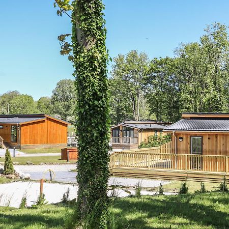 סקיפטון Squirrel Lodge מראה חיצוני תמונה