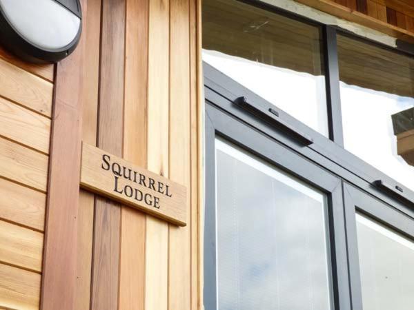 סקיפטון Squirrel Lodge מראה חיצוני תמונה